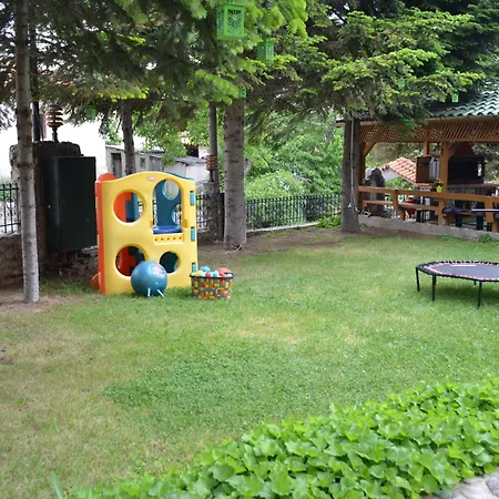 Safari Hotel