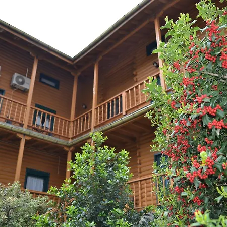 Safari Hotel